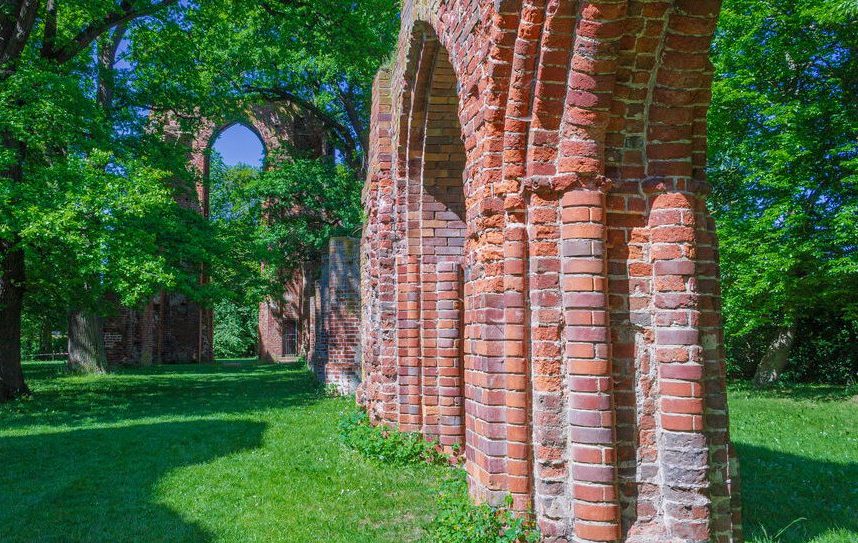Es ist die Klosterruine Eldena im Frühsommer zu sehen. Die Backsteinmauerreste sind eingebettet in frisches Laub.