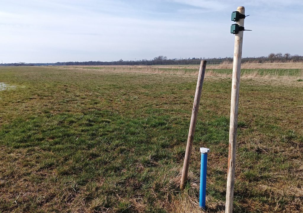 Auf dem Foto ist ein Aufnahmegerät zur Erfassung von Biodiversität durch Audio zu sehen. Ein kleines Gerät ist an einem Holzpfahl angebracht mitten auf einer großen Grünfläche
