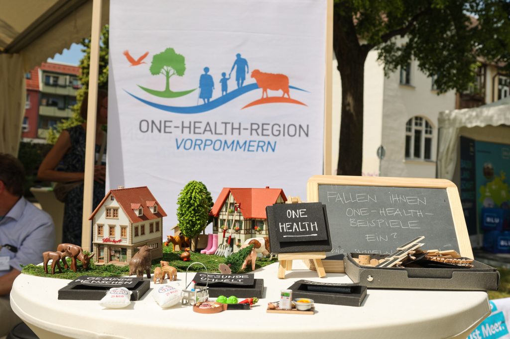 Ein Modell aus kleinen Häusern, Bäumen und Tieren steht auf einem Tisch vor einem Banner mit dem Aufdruck One-Health-Region Vorpommern.