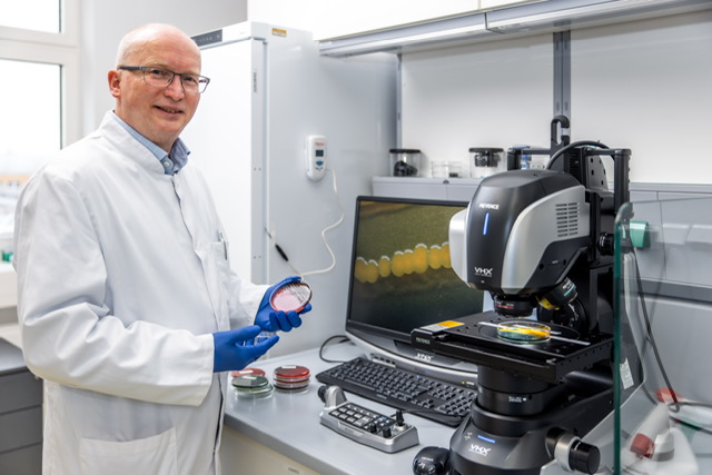 Das Foto zeigt Karsten Becker, ein glatzköpfiger Mann mit Brille, der sich gerade in einem Labor befindet. Er trägt einen weißen Laborkittel und blaue Gummihandschuhe und hält eine Petrischale in der Hand. Neben ihm steht ein Mikroskop und weitere Petrischalen.