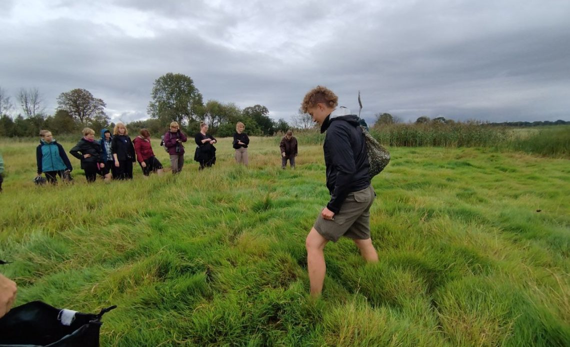 Das Foto zeigt eine Gruppe Menschen, wie sie gerade im Moor stehen. Das Gras ist sehr grün und hoch gewachsen.