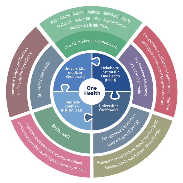 Die Grafik zeigt, welche Institute und Organisationen gemeinsam an dem One Health-Ansatz forschen und welche Projekte es in diesem Zusammenhang gibt.