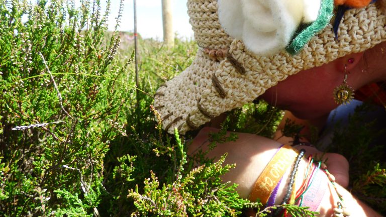 Eine Person untersucht die Hiddenseer Heide während des Experiments