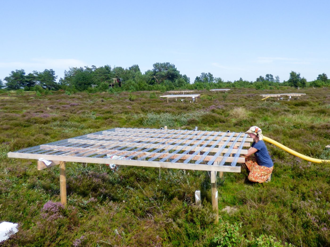 Dachkonstruktion gegen Niederschlag in der Hiddenseer Heide. Eine Frau hockt an der Konstruktion