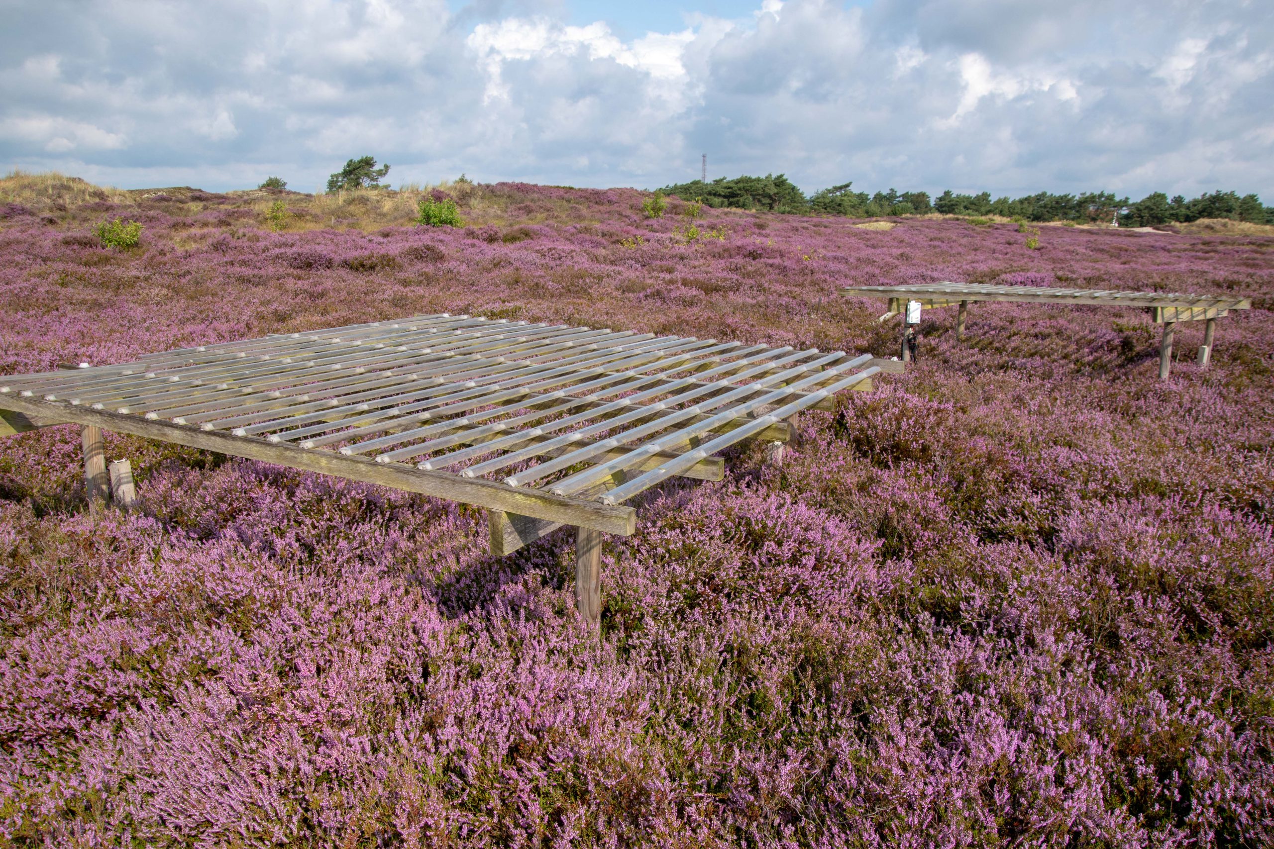Dachkonstruktion gegen Niederschlag in der Hiddenseer Heide