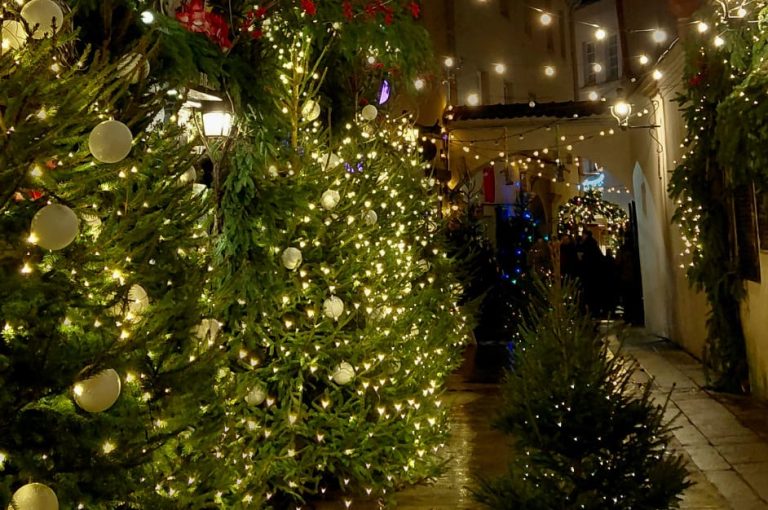 Das Bild zeigt eine Straße, die vollgestellt ist mit kleineren und größeren geschmückten Tannenbäumen, die alle mit Lichterketten beleuchtet sind.