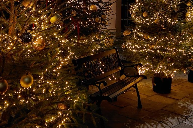 Das Foto zeigt eine Holzbank auf einem Bürgersteig, die von drei festlich geschmückten Tannenbäumen umgeben ist. Es ist dunkel, weshalb die Lichterketten der Bäume sehr gut zur Geltung kommen.