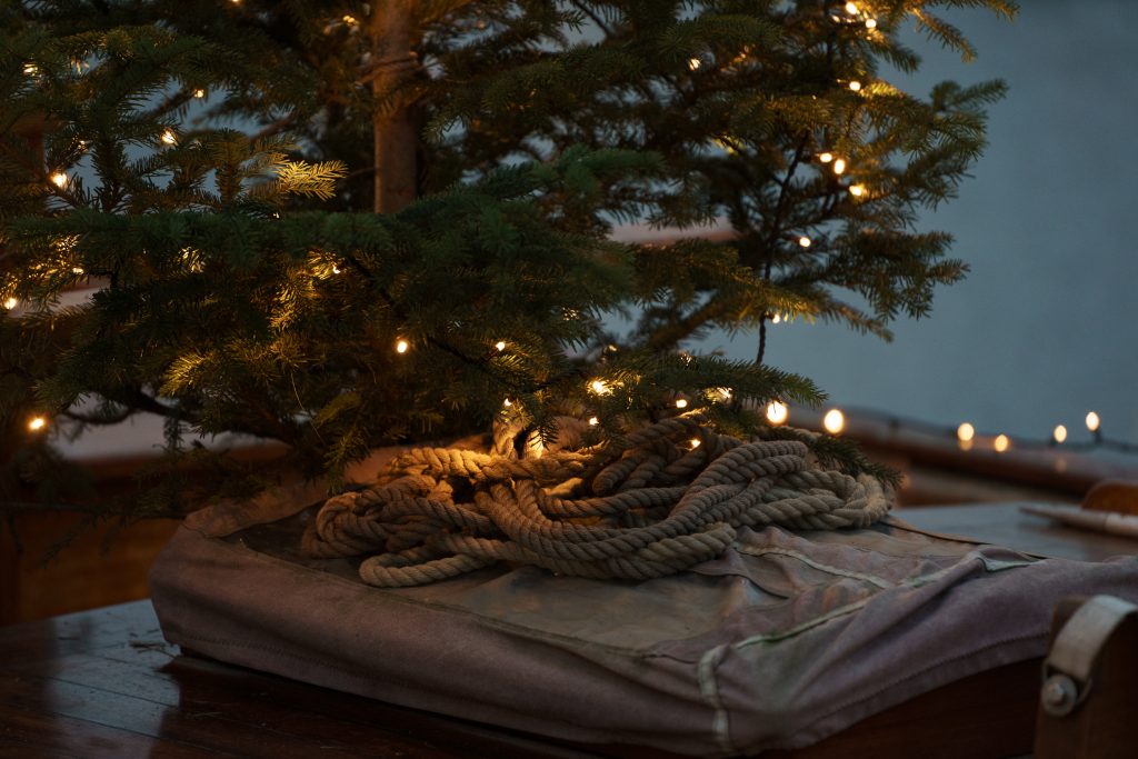 Weihnachtliche Stimmung in Greifswald am Ryck mit Lichten und Tannenbaum auf einem Boot
