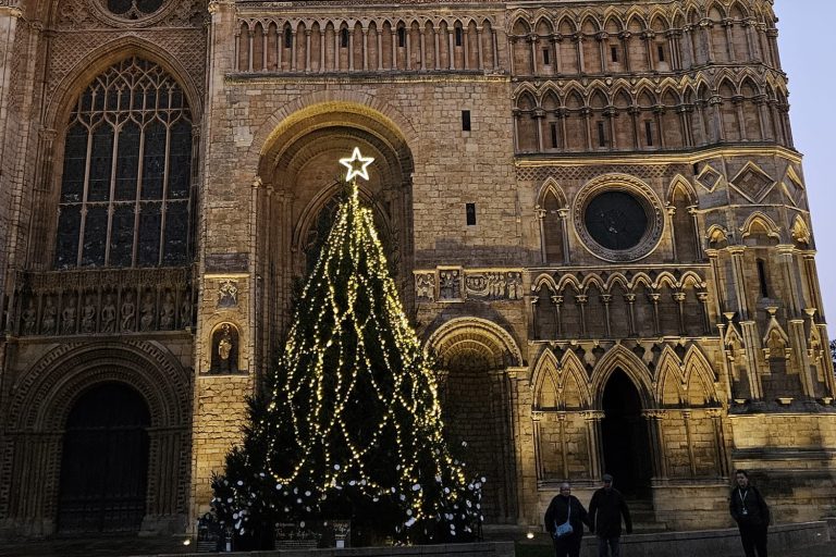 Das Bild zeigt einen mit Lichterketten und einem Stern geschmückten, leuchtenden Tannenbaum, der vor einer Kathedrale steht.