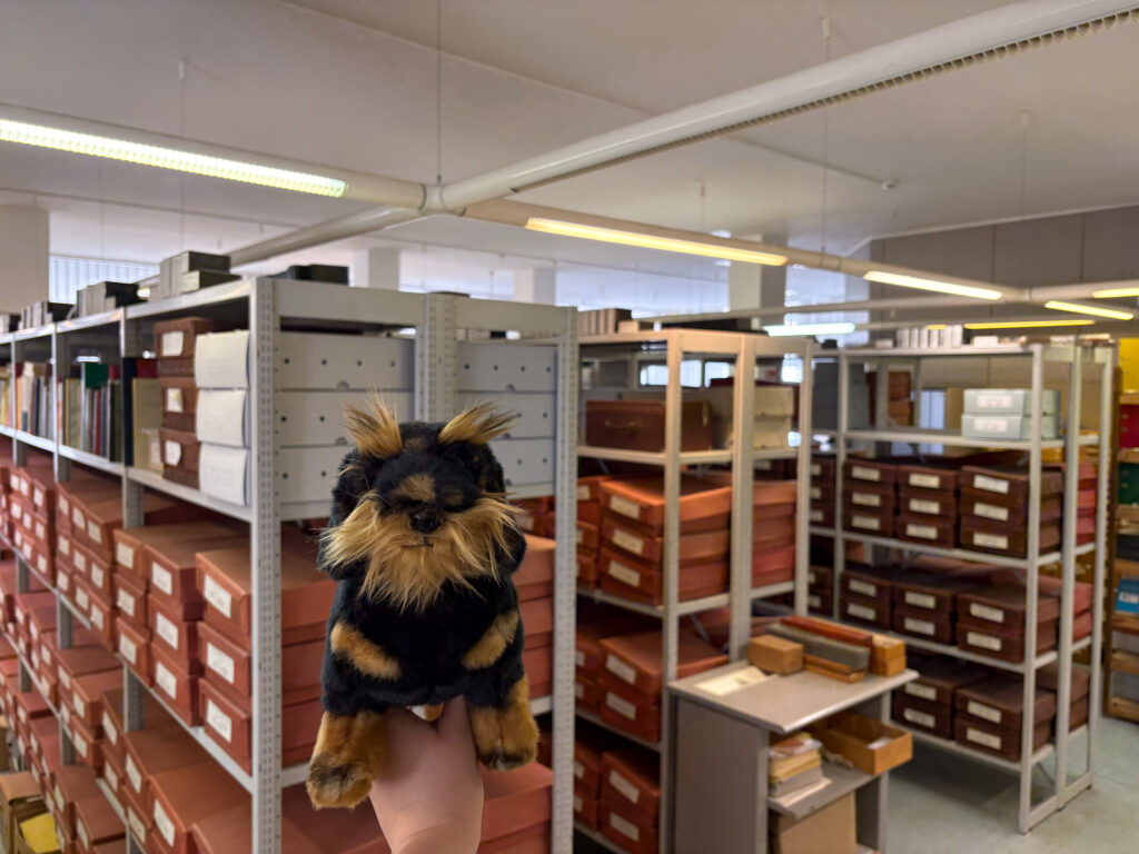 Ein kleiner schwarzer und brauner Plüsch-Hund in einem Lagerraum mit Regalen und Kisten.