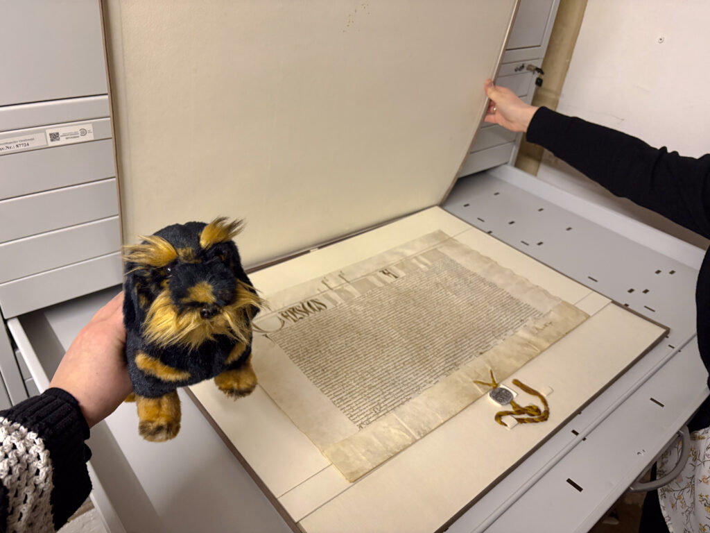 Der Plüschdackel wird vor der Gründungsurkunde der Univerrsität gehalten