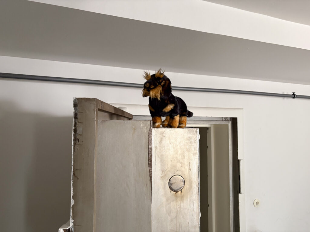 Der Plüschdackel sitzt auf einer Tresortür