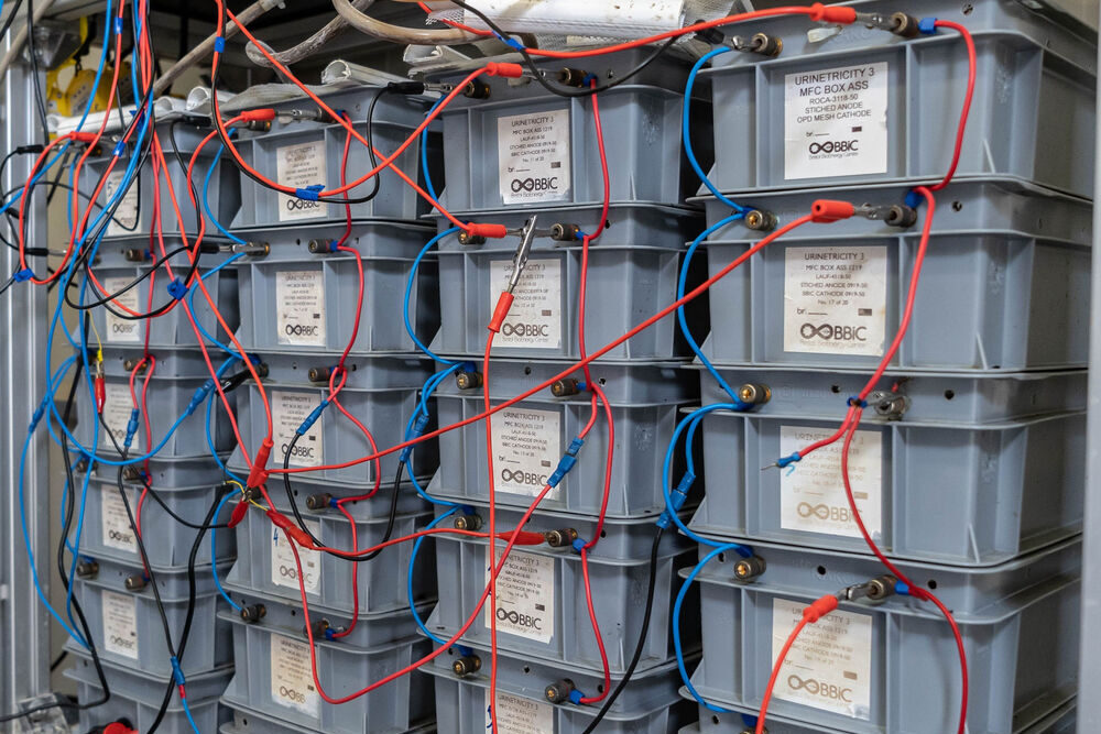 Das Foto zeigt vier Reihen eng anbindet stehenden blauen Boxen. Die Boxen sind übereinander gestapelt und zahlreiche blaue und rote Kabel verlaufen zwischen den Kisten.