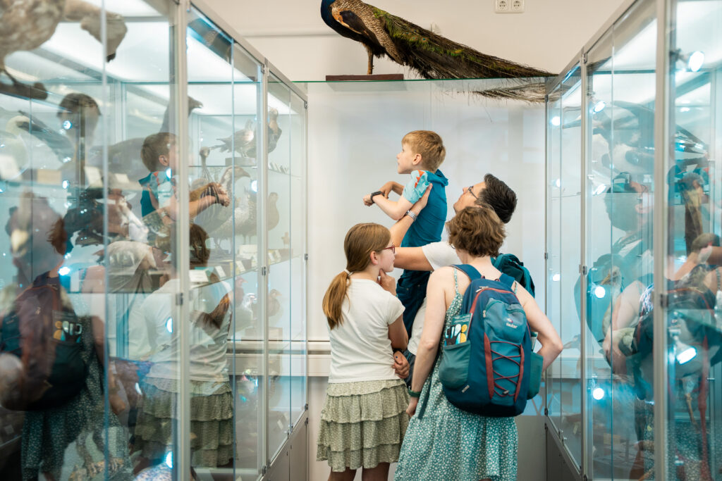 Viel zu sehen bot die Zoologische Sammlung in der Soldmannstraße, © Hadi Awad