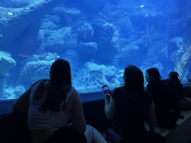 Menschen stehen im Meeresmuseum vor einem großen blauen Aquarium