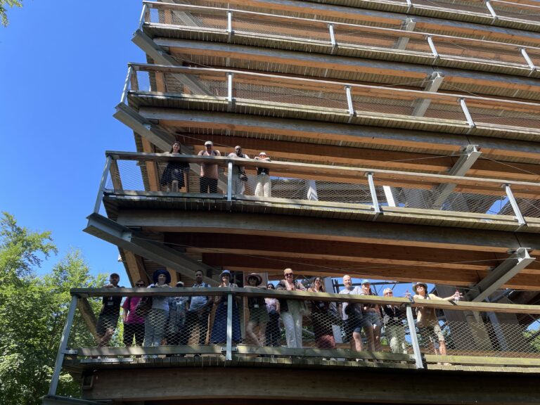 Menschen sind auf einem Turm beim Baumwipfelpfad und winken zum Foto runter.